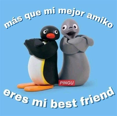 Pin De Zia Van Houten En Pingu Frases Memes Sarcásticos Frases Tontas Memes Divertidos