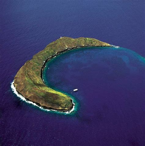 Molokini Crater Snorkeling Four Winds Maui Snorkeling