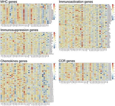 Biological And Immunological Significance Of Dll Expression In