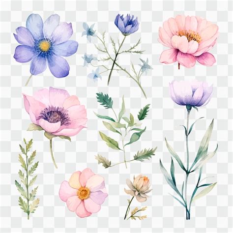 Ensemble Vectoriel De Fleurs Aquarelles Sur Fond Transparent Vecteur