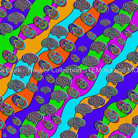 twistor space  lightc  lisa clark thinker collection stem