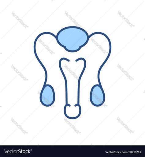 Male Reproductive System Line Icons Royalty Free Vector