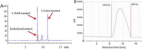 Hplc And Gpc Analysis For γ Pab A Hplc Showed That The Hydrolyte Of