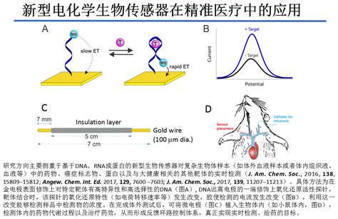 新型电化学生物传感器在精准医疗中的应用 生命分析化学实验室