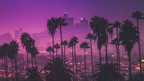 Los Angeles Palm Trees Wallpapers - Top Free Los Angeles Palm Trees Backgrounds - WallpaperAccess