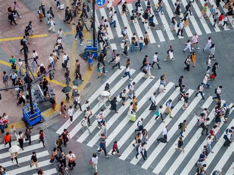 Shibuya, Japan - 23 9 19: People Crossing Shibuya Crossing in the ...