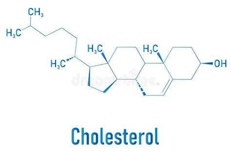 Cholesterol Molecule Skeletal Formula Cemical Structure Vector