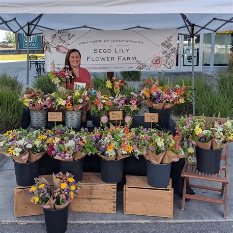 Farmers Markets Sego Lily Flower Farm