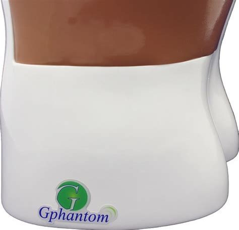 Gphantom Rim Simulador Para Treinamento De Ultrassom Frete grátis