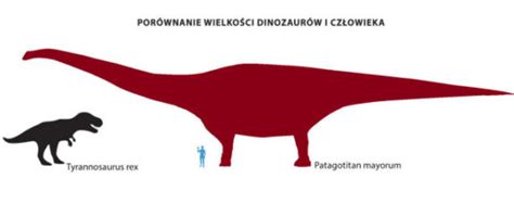 Najwi Kszy Dinozaur Wiata Biuro Rekord W