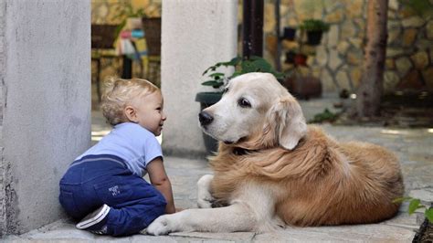 Puede la exposición temprana a los perros disminuir el riesgo de