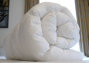 Foam White Hotel Duvets at Rs 850 in New Delhi | ID: 11090276130