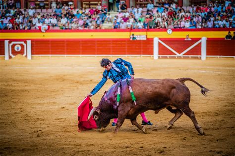 Pe A Cultural Taurina De Roquetas De Mar La Pe A Taurina De Roquetas