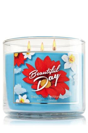 Beautiful Day 3 Wick Candle Home Fragrance 1037181 Candles Bath