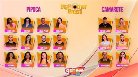 Bbb 24 Aposta Em Participantes Com Signo De Campeão E Ignora Arianos