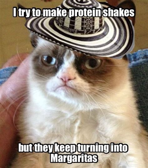 A Grumpy Cat Wearing A Sombrero On Top Of Its Head And Captioned I Try