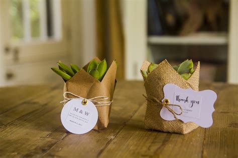 DIY Succulent Wedding Favor – P. Allen Smith