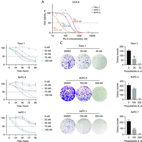 Pro A Inhibits Proliferation Of PC Cell Lines A PC Cell Lines Were