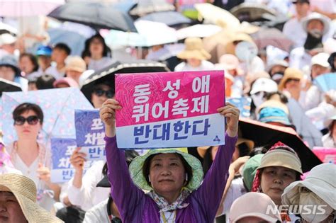 동성애 퀴어축제 반대 네이트 뉴스