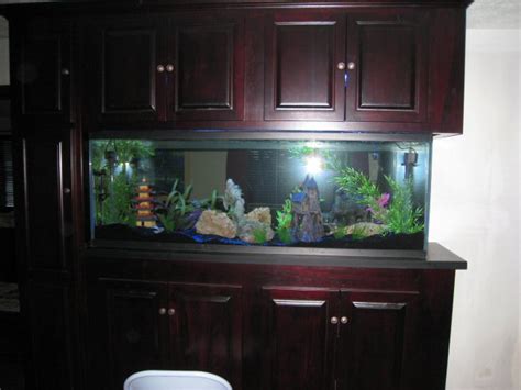 My 180 Gallon In Wall Aquarium Made From Starphire Glass