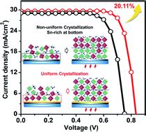 Balancing Crystallization Rate In A Mixed Snpb Perovskite Film For