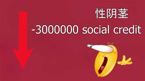 -100 social credit score - YouTube