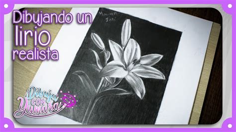 Cómo Dibujar Un 🌷 Lirio Realista 🌷 Fácil Y Con Instrucciones Para