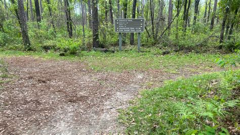 Leon Sinks Florida Hikes