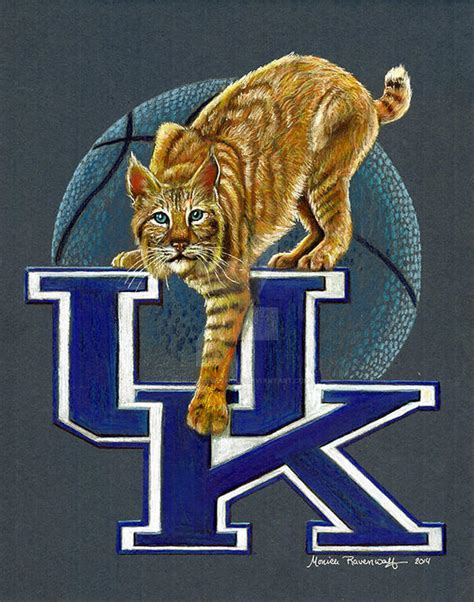 Kentucky Wildcats Commission By The Art Of Ravenwolf On Deviantart