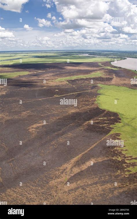 Concepts Deforestation Destruction Environment Hi Res Stock Photography