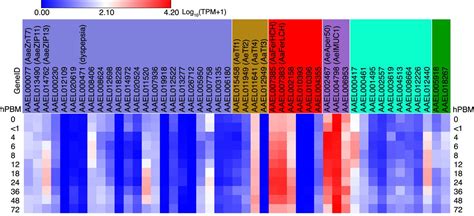 An 11 Point Time Course Midgut Transcriptome Across 72 H After