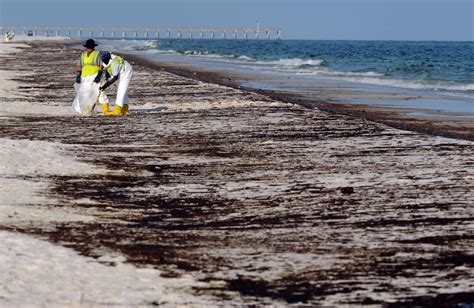 7m In Fines From Bp Oil Spill Fines To Create 300 Jobs Across