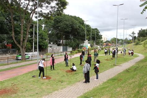 Dia Mundial Em Mem Ria Das V Timas De Acidentes De Tr Nsito