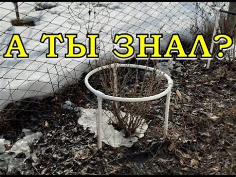 Перечень работ на даче В МАРТЕ 🌞🌞🌞 - YouTube