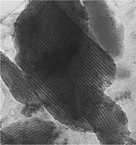 Transmission Electron Microscopy TEM Image Of MCM41 Serine Ce