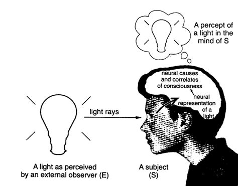 A Dualist Model Of Perception Download Scientific Diagram