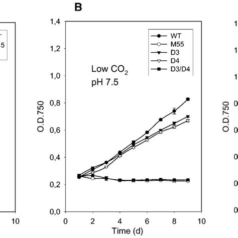 Growth Curves Of Wild Type Synechocystis Cells And M Dndhd