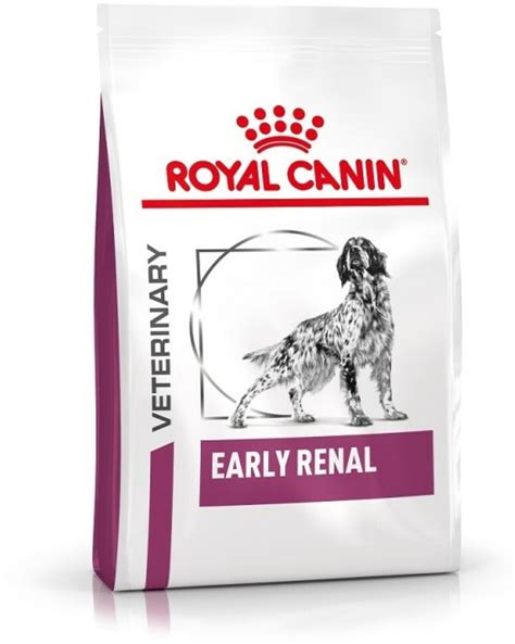 Revolutionize Your Dog's Health with the Top 10 Renal Dog Foods of 2021 ...