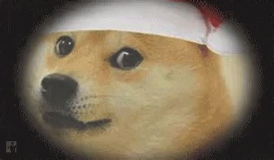 Santa Dog GIF - Christmas Dogs Santa - Discover & Share GIFs