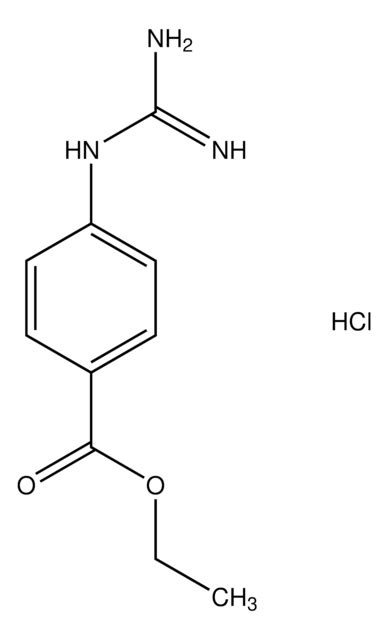 Ethyl 4 Amino Imino Methyl Amino Benzoate Hydrochloride AldrichCPR