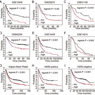 Higher Col A Expression Is Associated With Shorter Overall Survival