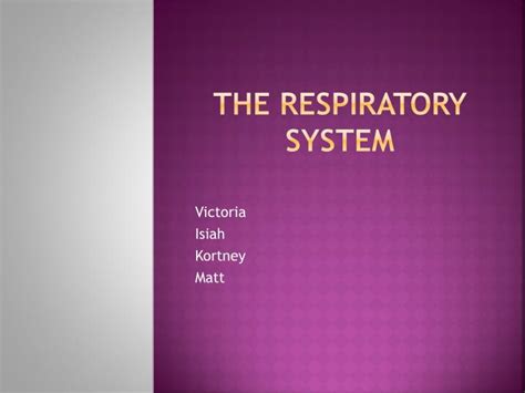 Ppt The Respiratory System Powerpoint Presentation Free Download