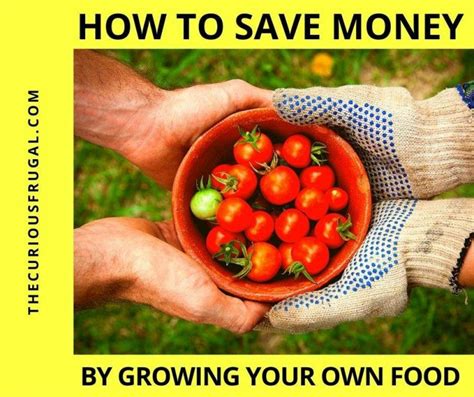 Frugal Gardening The Best Budget Gardening Ideas For Your Outdoor