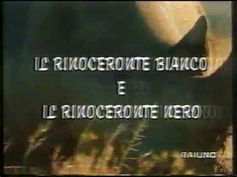 Il Mondo Di Quark Rinoceronte Bianco E Rinoceronte Nero