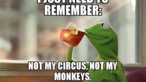 20 Not My Circus Not My Monkeys Meme Examples