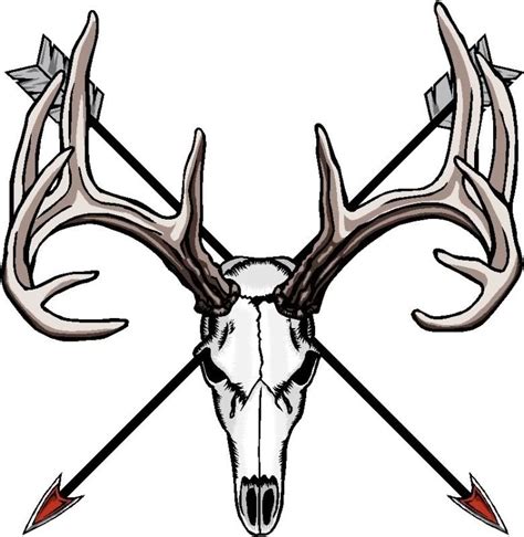 deer skull clipart 20 free Cliparts | Download images on Clipground 2024