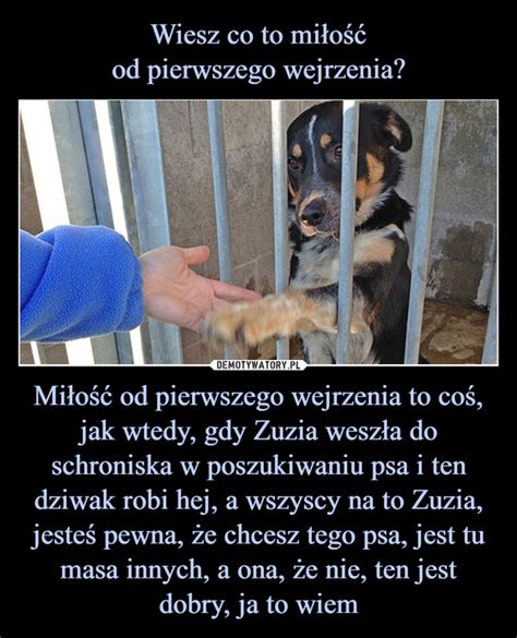 Wiesz co to miłość od pierwszego wejrzenia Miłość od pierwszego