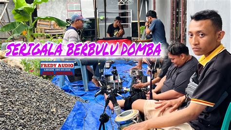 Serigala Berbulu Domba Fredy Audio Pemalang Youtube