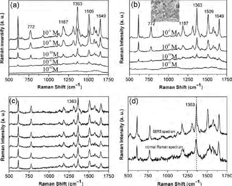 Sers Spectra Of R6g At Different Concentrations A On Au Hollow