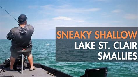 Sneaky Shallow Summer Smallmouth Bass On Lake St Clair Must Try